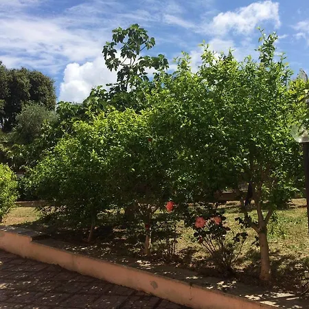 Pensionat I Tre Leoni Civitavecchia